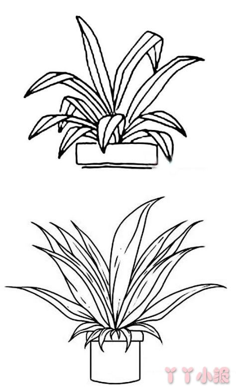 如何画绿植盆栽简笔画图片教程简单漂亮