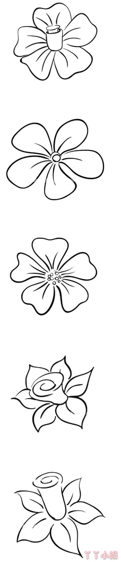 6款花瓣花朵简笔画图片怎么画简单