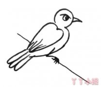 树枝上小鸟怎么画简单手绘 小鸟简笔画