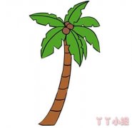 椰子树怎么画简单涂色 椰子树简笔画图片