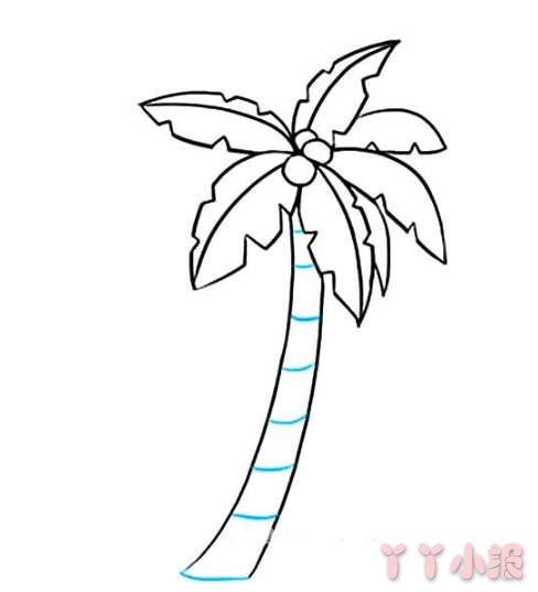 海边椰子树简笔画怎么画简单好看