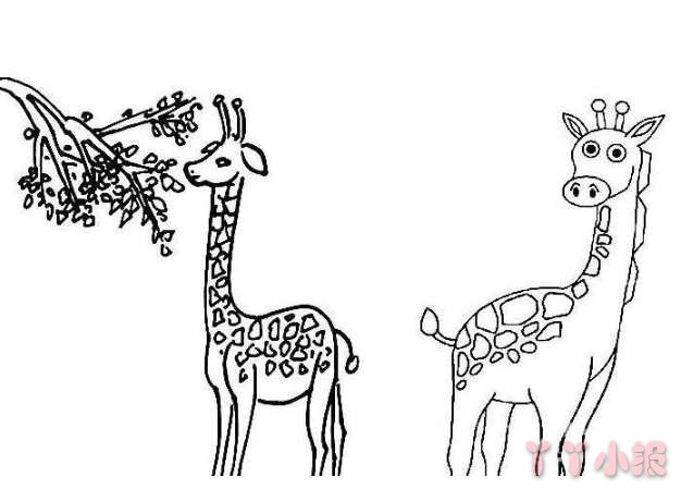 儿童长颈鹿简笔画怎么画简单好看教程