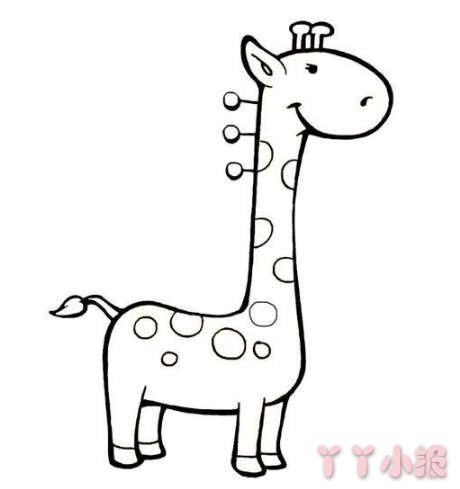 卡通长颈鹿的画法简笔画怎么画简单