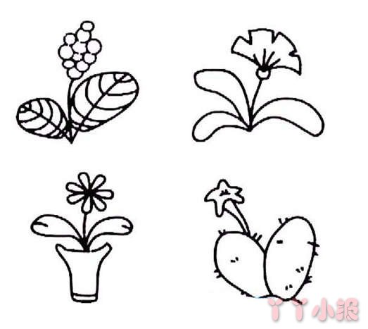 小花朵盆栽简笔画图片教程简单漂亮