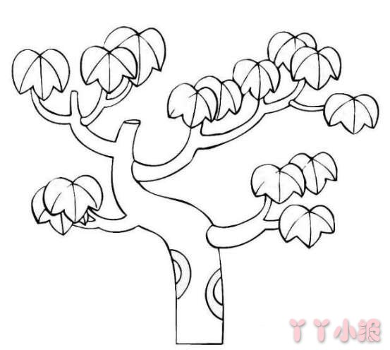 手绘枫树简笔画图片教程简单又漂亮