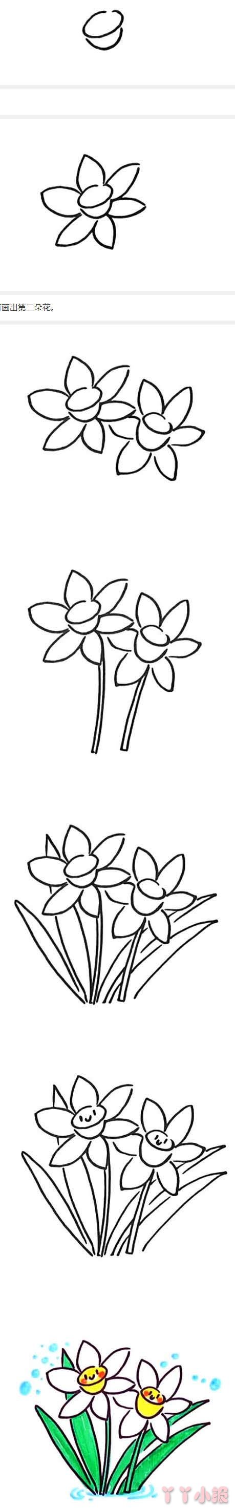 水仙花的画法步骤教程涂色简单又漂亮