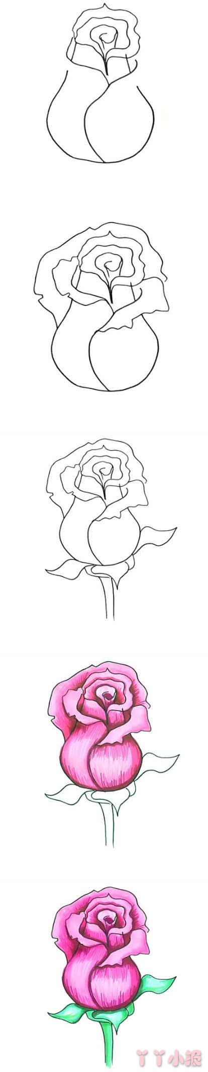 玫瑰花的画法步骤教程涂色简单又漂亮