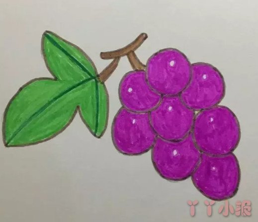 葡萄怎么画涂色带步骤 葡萄简笔画图片