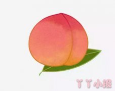 水蜜桃怎么画涂色带步骤 水蜜桃简笔画图片