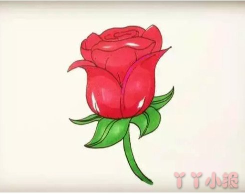 红色玫瑰花怎么画简单又漂亮涂色带步骤图