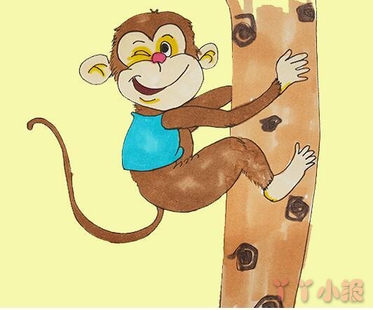 爬树小猴子怎么画涂颜色带步骤图漂亮