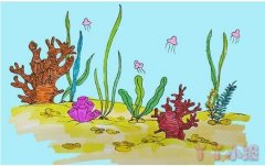 彩色珊瑚怎么画简单又漂亮带步骤