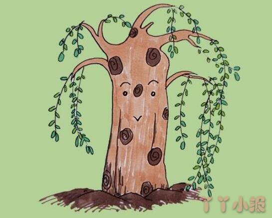教你一步一步画彩色柳树简笔画手绘简单漂亮