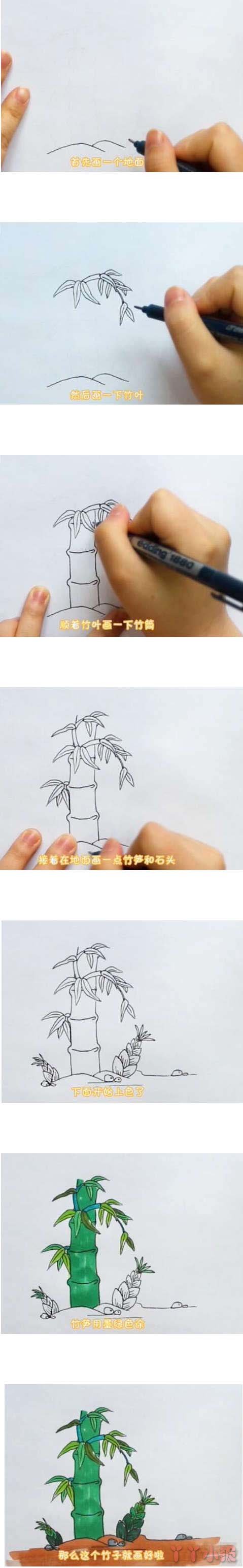 教你一步一步画彩色竹子简笔画手绘简单漂亮