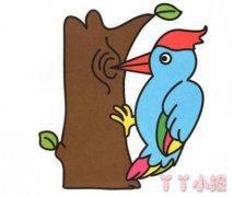 卡通啄木鸟怎么画涂色啄木鸟简笔画带步骤