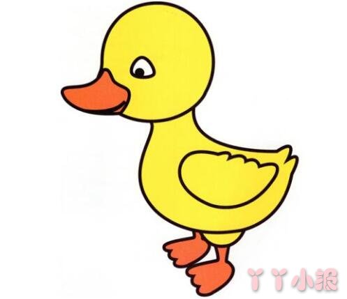  可爱的小鸭子简笔画图片 涂色小鸭子怎么画
