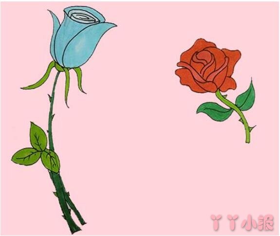 一步一步手绘情人节玫瑰花简笔画教程涂颜色