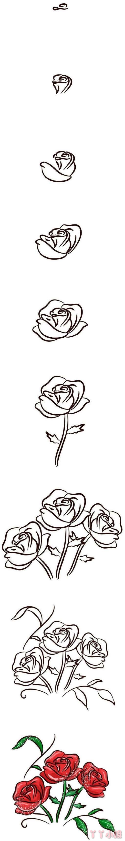 最简单漂亮玫瑰花简笔画步骤教程手绘涂色