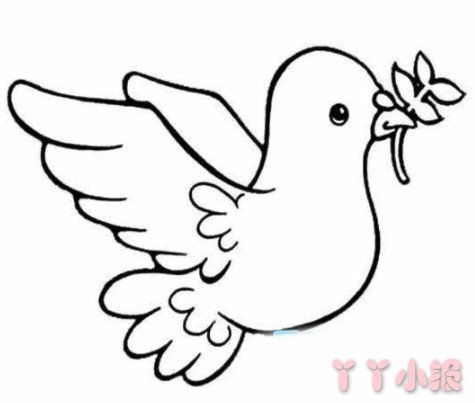 卡通和平鸽怎么画涂色简单又可爱