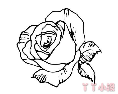 怎么画玫瑰花简笔画 手绘玫瑰花的画法简单又漂亮