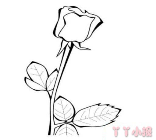  七夕情人节玫瑰花的画法图解教程简单又漂亮