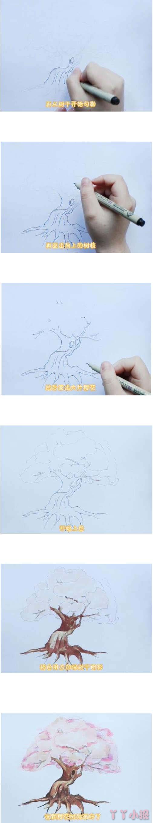 教你一步一步手绘樱花树简笔画涂色简单漂亮