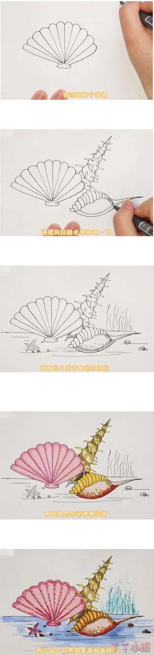 海洋贝壳手绘怎么画涂色简单漂亮步骤图