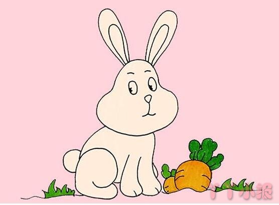  教你一步一步画卡通小白兔简笔画涂色简单