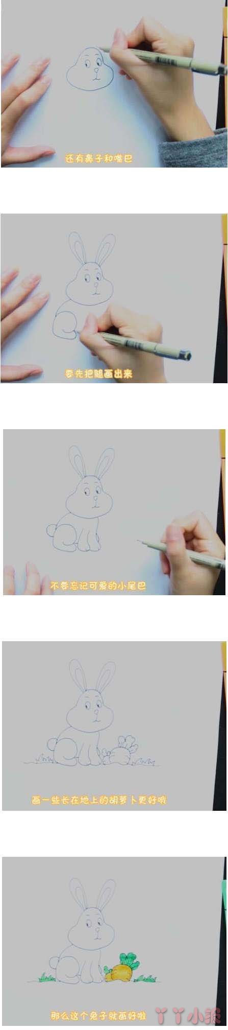  教你一步一步画卡通小白兔简笔画涂色简单