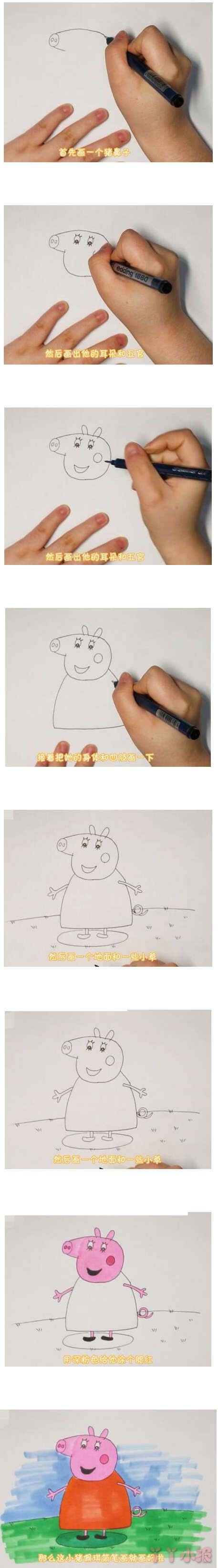 教你一步一步绘画小猪佩奇简笔画教程涂色简单