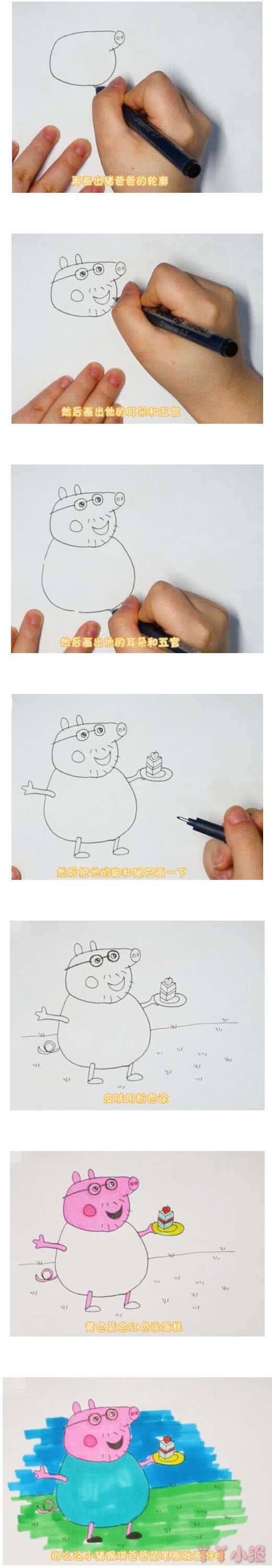 小猪佩琪猪爸爸简笔画画法步骤教程涂颜色