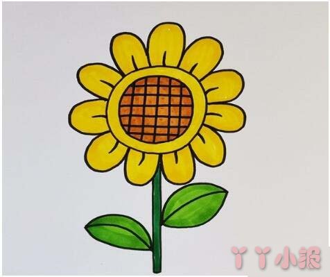  教你怎么画向日葵简笔画步骤教程涂颜色