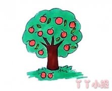 教你怎么画苹果树简笔画步骤教程涂色