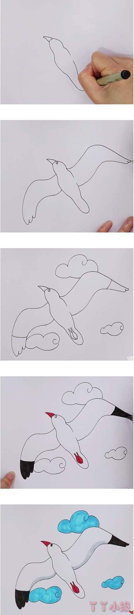 幼儿园海鸥简笔画怎么画涂色简单漂亮