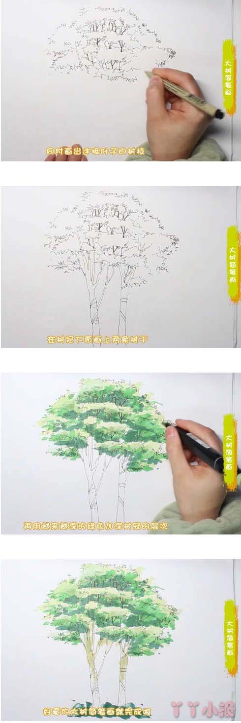  教你怎么画大树简笔画步骤教程涂颜色