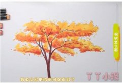 教你怎么画枫树简笔画步骤教程涂颜色