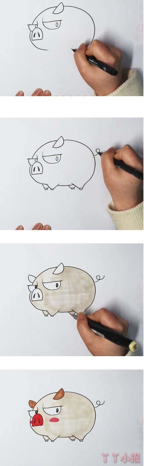 教你怎么画可爱小猪简笔画步骤教程涂色