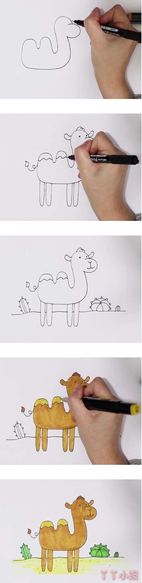  教你怎么画骆驼简笔画步骤教程涂颜色