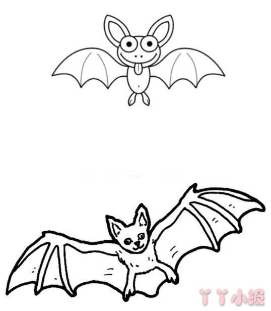 教你怎么画万圣节蝙蝠简笔画简单可爱
