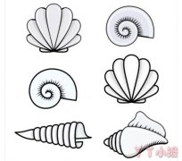  怎么画各种海螺贝壳简笔画画法教程简单