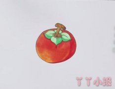  教你怎么画柿子简笔画步骤教程涂颜色