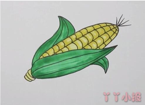简笔画玉米棒的画法步骤教程涂色简单好看