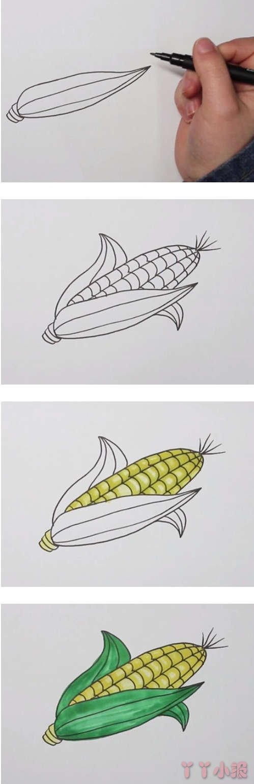 简笔画玉米棒的画法步骤教程涂色简单好看