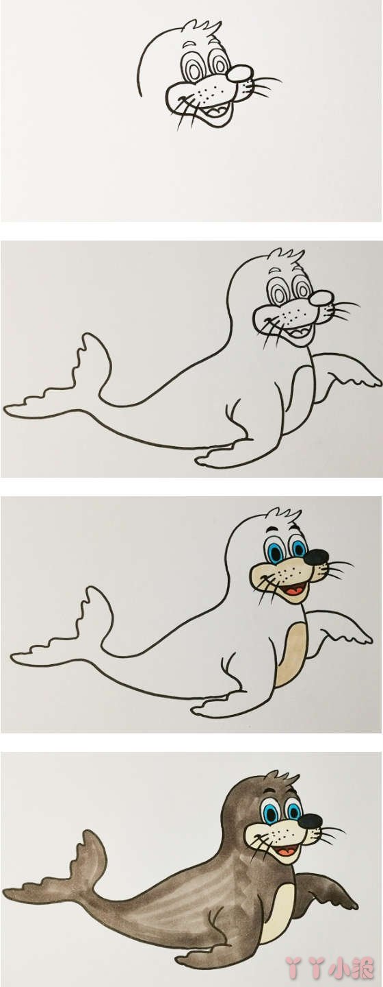  怎么画海豹简笔画步骤教程涂色简单可爱