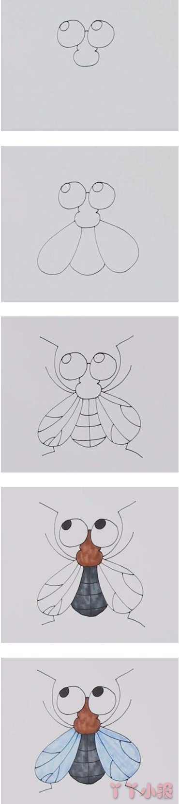  怎么画卡通苍蝇简笔画步骤教程涂色简单