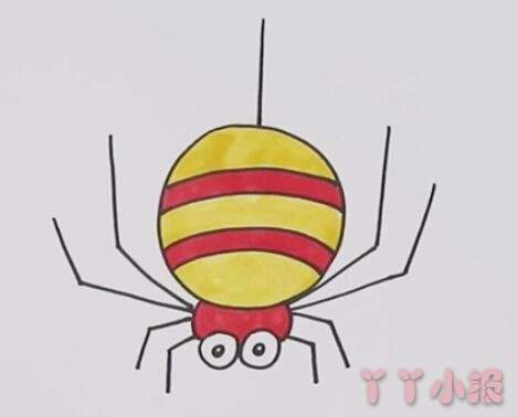 怎么画大蜘蛛简笔画步骤教程涂色简单