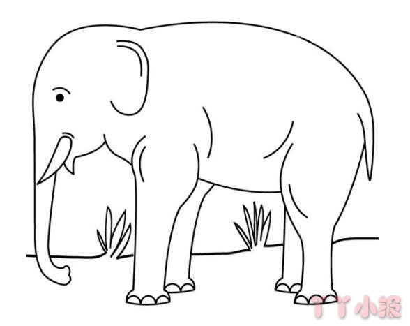 怎么画一头大象简笔画教程简单又好看