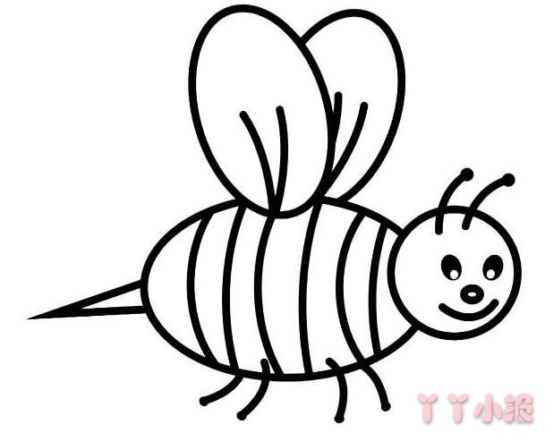  怎么画卡通小蜜蜂简笔画教程简单可爱