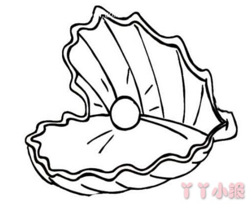 怎么画珍珠贝壳简笔画教程图解简单又漂亮