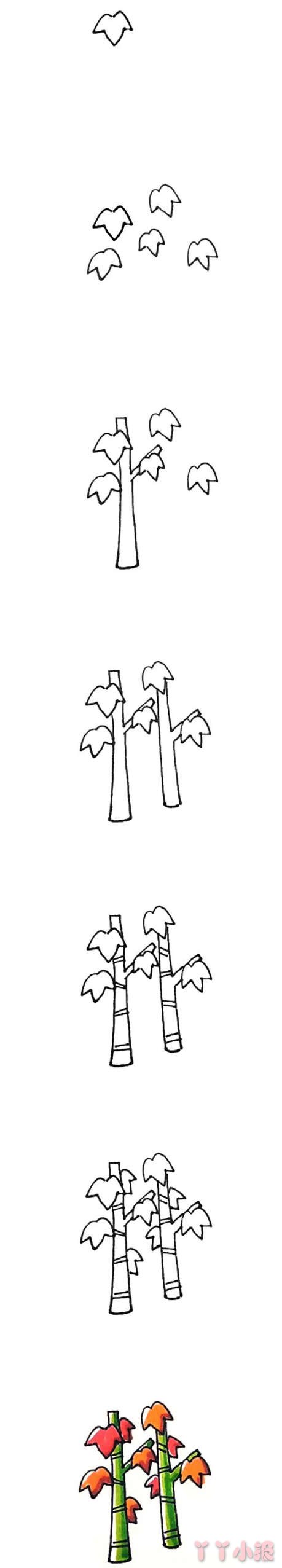 枫树枫叶简笔画的画法步骤教程涂色简单漂亮